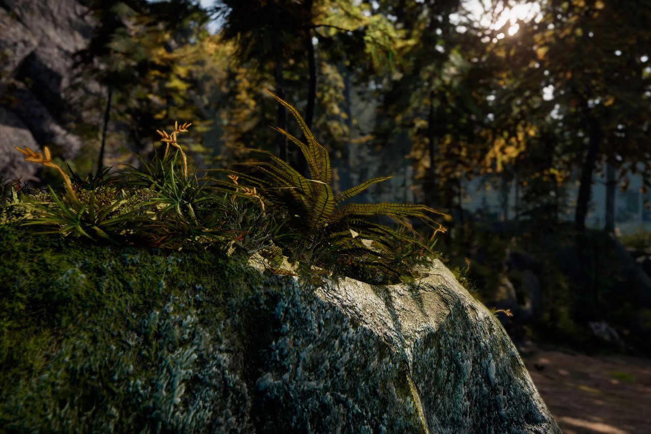 C.V.P - Pine Woods📱 - изображение 3